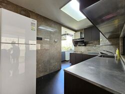 The Canopy (D27), Condominium #504514021